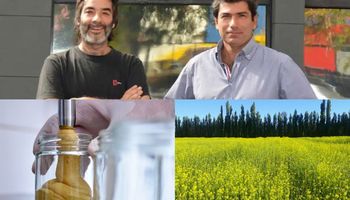 De la crisis de 2001 a vencer a los franceses: la historia de los únicos productores de mostaza dijon del país