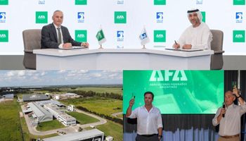 Una alianza estratégica y más de US$ 200 millones en juego: el proyecto que podría despegar si se libera el mercado