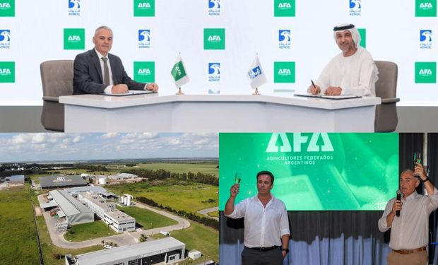 Una alianza estratégica y más de US$ 200 millones en juego: el proyecto que podría despegar si se libera el mercado