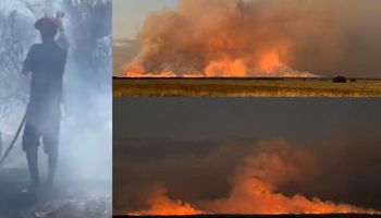 El fuego ya consumió más 140 mil hectáreas y piden redoblar la prevención: “El daño es enorme”