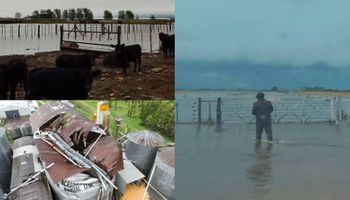 Daños en silos y campos inundados: el temporal afectó a diferentes localidades durante el fin de semana