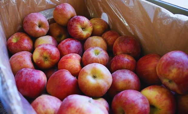 De residuo a alimento: la industria frutícola suma un nuevo producto nutritivo 