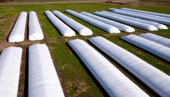 Destacan al eslabón clave donde se puede perder (o ganar) hasta el 5 % de la producción
