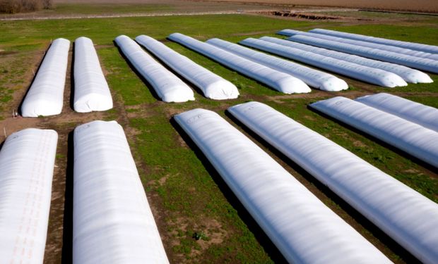 Destacan al eslabón clave donde se puede perder (o ganar) hasta el 5 % de la producción