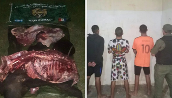 Llevaban una vaca en una lancha y fueron detenidos: vecinos denunciaron abigeato en las islas de Santa Fe