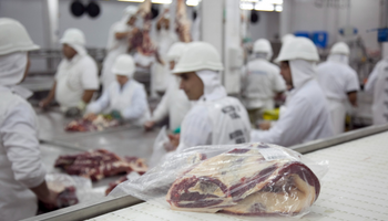 Argentina rompe récords históricos en exportaciones de carne vacuna: un hito no visto desde 1924