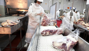 Exportación de carne a Estados Unidos: más de 50 empresas se quedaron con el permiso de comercialización