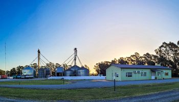 ¿Cómo impacta la digitalización en los distribuidores de insumos del agro?