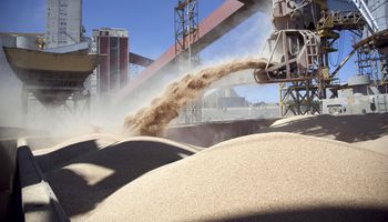Empresas agroexportadoras liquidaron durante agosto US$ 1.743 millones, un 30 % menos que en 2020