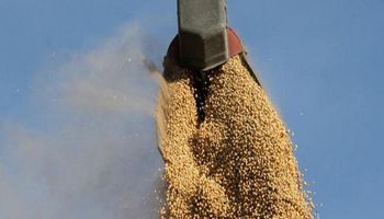 Los agroexportadores liquidaron casi U$S 7.200 millones en lo que va del año