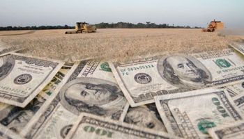 Liquidación de divisas repuntó un 44% la semana pasada