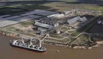 En 2020, las empresas exportadoras de granos y subproductos ingresaron divisas por US$ 20.274 millones