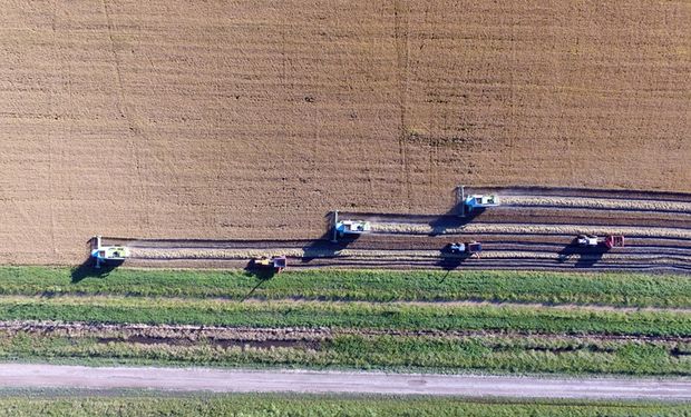 “Firme recuperación”: la actividad inmobiliaria rural no paró de crecer en lo que va de 2025