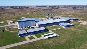 Inversión millonaria: instalaron un nuevo frigorífico que puede faenar 2000 cerdos por día a 56 km del Aeropuerto Internacional de Ezeiza