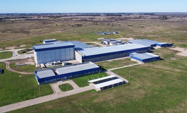Inversión millonaria: instalaron un nuevo frigorífico que puede faenar 2000 cerdos por día a 56 km del Aeropuerto Internacional de Ezeiza