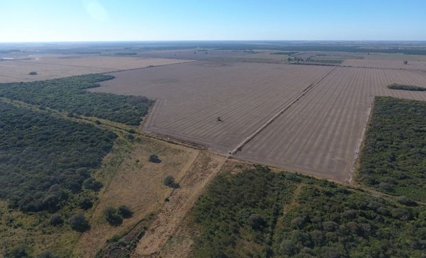 Los incrementos en el inmobiliario rural sería de 26%, 31,6%, 40% y llegarían hasta el 89%.