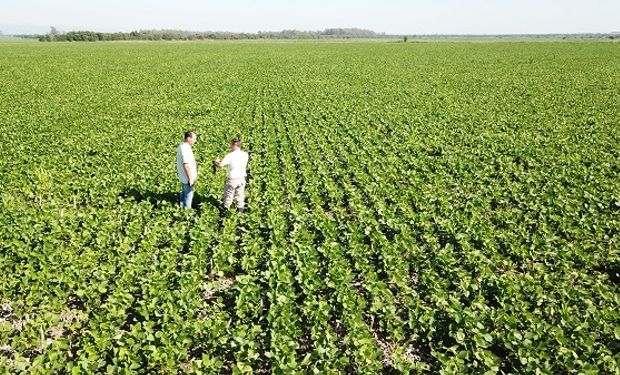 "Siempre va a ser más barato prevenir que curar", repite como un mantra César Suppo, ingeniero agrónomo y productor.