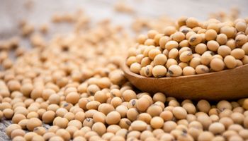 Novos horizontes: México e Filipinas entram no mapa das exportações brasileiras