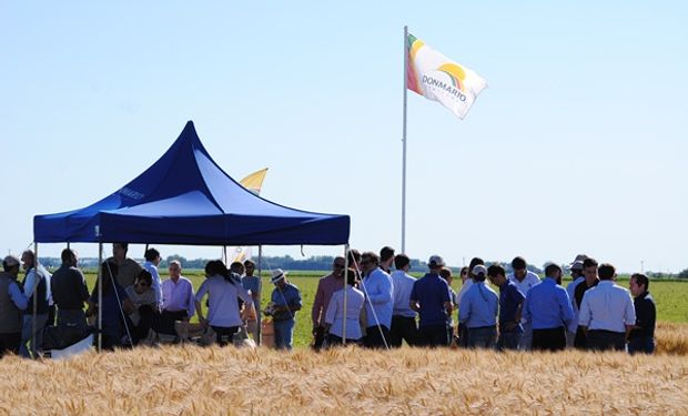 DMMAS de Trigo: un espacio en donde producto y manejo van de la mano