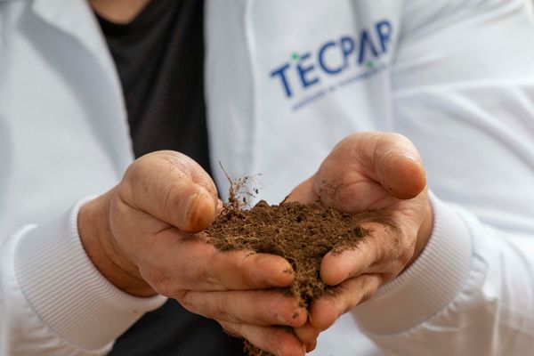 Análise de DNA do solo para identificar microrganismos no Paraná