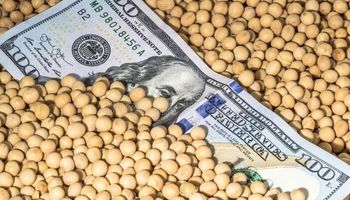 Termina el dólar-soja y no hay anuncios: se realizaron operaciones por $ 2600 millones