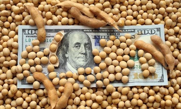 Números poco claros para soja y maíz: el dólar para el agro se vuelve incierto y hay rumores de cambios