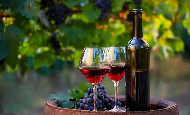El sector vitivinícola adelantó que está adentro del dólar agro