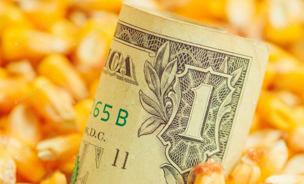 Soja, trigo y maíz: la fortaleza del dólar impactó sobre el mercado de granos