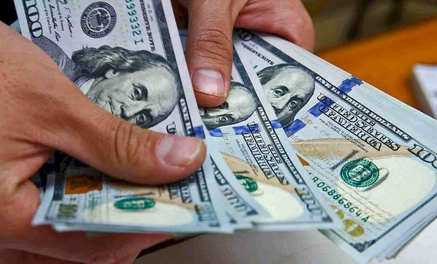 Dólar post elecciones: la estrategia que pueden adoptar las empresas agropecuarias