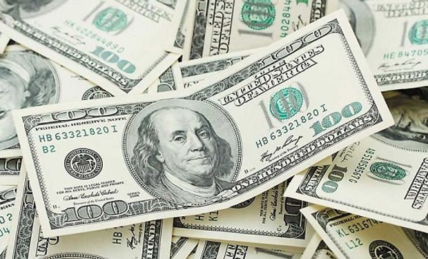 Dólar hoy: cómo opera el blue y el dólar Banco Nación