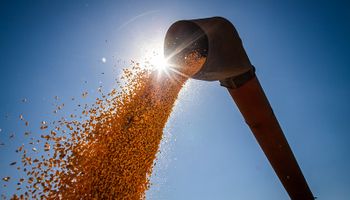 Cuánto se perdió con el dólar agro y qué hacer con los granos: se vendieron más de 7 millones de toneladas con un tipo de cambio de $340