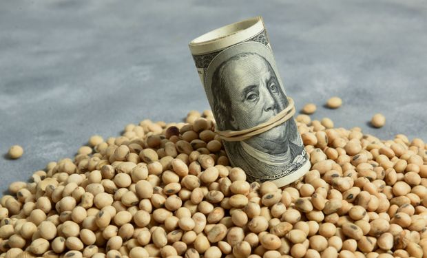 "Un nuevo parche": la reacción del campo al dólar soja y dólar agro