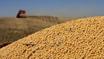 "Es humo": la reacción del campo al complejo instrumento que lanzó el Banco Central para la soja
