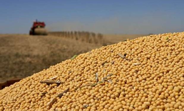 "Es humo": la reacción del campo al complejo instrumento que lanzó el Banco Central para la soja