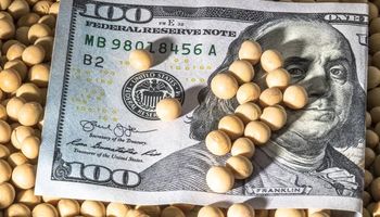 Dólar soja: cómo será el nuevo incentivo para acelerar la venta de la cosecha
