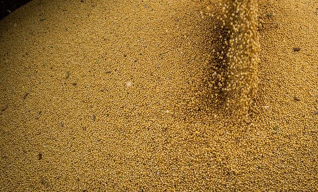 Sin dólar soja y con sequía: empresas agroexportadoras ingresaron US$ 2802 millones en tres meses