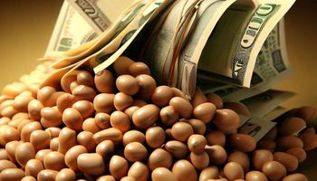 ¿Fracasa el dólar soja 3? La venta de productores es mínima contra las versiones 1 y 2 del programa