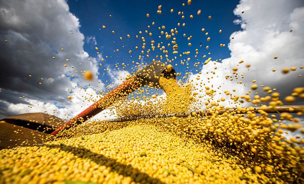 Récord: exportadores de granos y subproductos ingresaron más de US$ 40.000 millones durante el 2022
