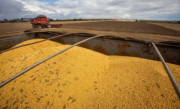 Los precios de la soja se dispararon, pero no hay ventas: “El productor prefiere demorar decisiones y quedarse con el poco grano disponible"