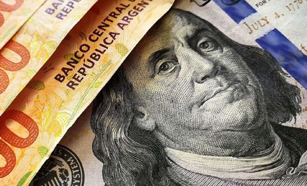 Dólar bue hoy: cuál es el precio de este 14 de noviembre y cómo queda la brecha con el dólar Banco Nación
