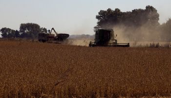 El precio efectivo de la soja para el productor argentino es de US$ 126