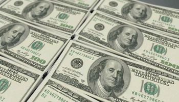 El dólar blue se vende a $ 132: "No veo que esto afloje, fue un solo día el que se anunció el tema deuda"