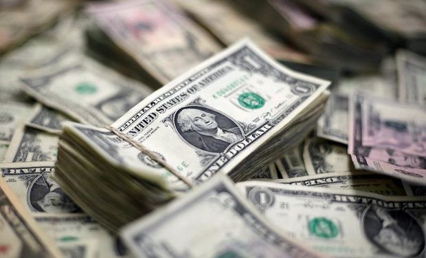 Dólar: el BCRA compró unos u$s 100 millones y acumula u$s 420 millones en enero