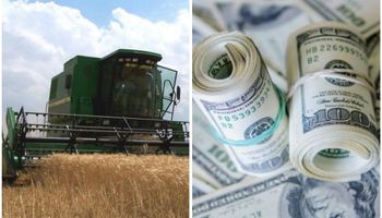 Aseguran que "no todo es el precio del dólar"