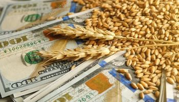 La debilidad del dólar brinda soporte a los granos
