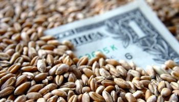 Dólar contra los granos