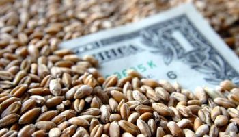 El fortalecimiento del dólar presiona a los commodities en CBOT