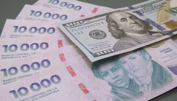 Qué hacer con los pesos y qué estrategia tomar para no perder plata