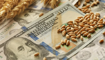 Preocupación por el dólar récord: productores piden un "urgente" plan económico