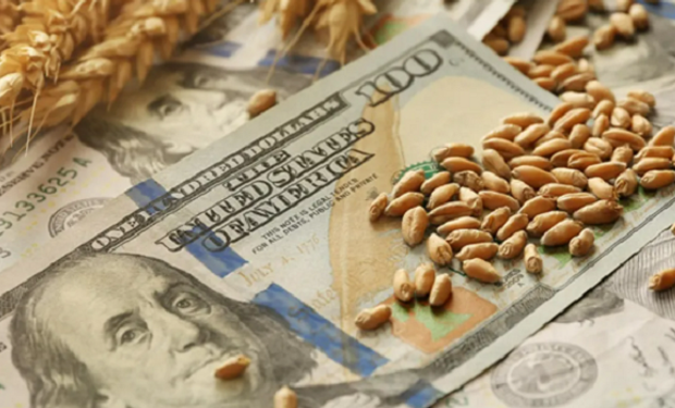 Preocupación por el dólar récord: productores piden un "urgente" plan económico